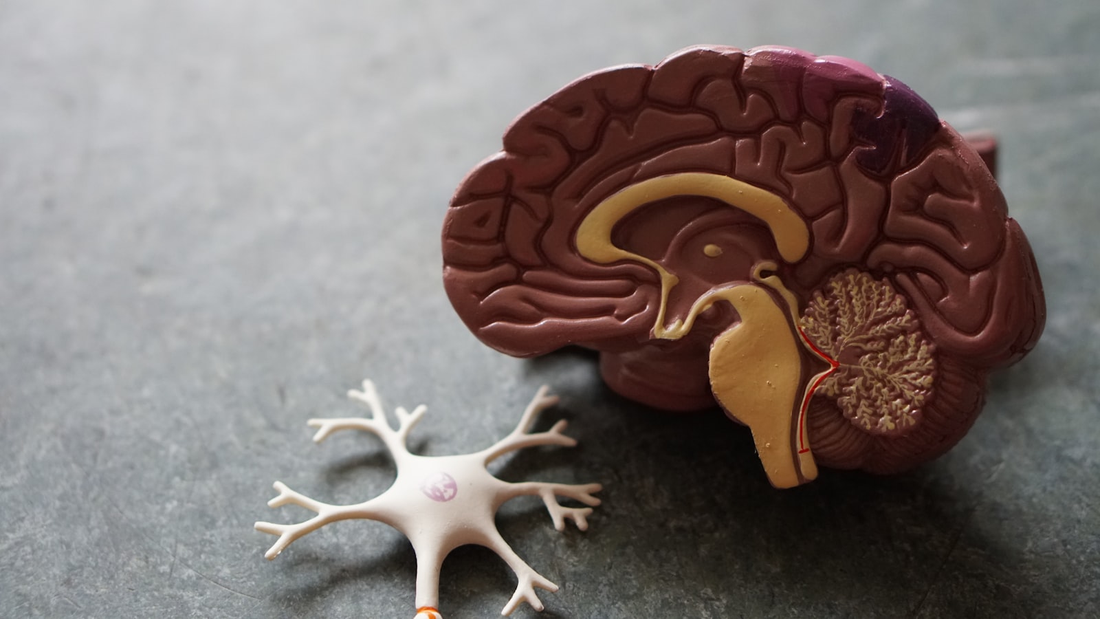 Neurologia